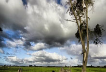 库里21分7助攻波斯特20分 勇士大胜公牛止连败.