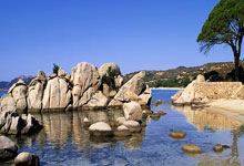 霍震霆点赞亚冬会筹备工作：哈尔滨或成世界冬季旅游中心央视新闻客户端.